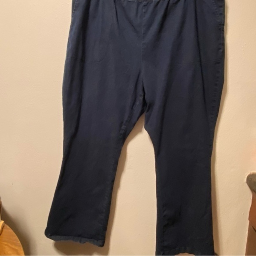 Woman  Within Jeans Women’s Size 30W Stretch‎ Pull On Blue Denim Pockets